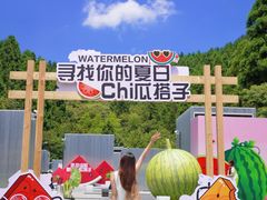 -玉苍山国家森林公园