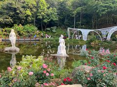 -深圳仙湖植物园
