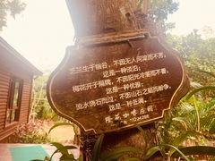 -兴隆隆苑咖啡庄园
