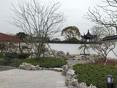 -上海滨江森林公园