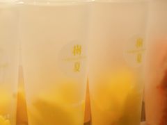 -树夏(锦里店)