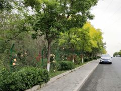 -云岗森林公园