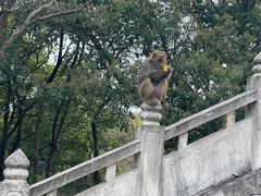 -苏州上方山国家森林公园