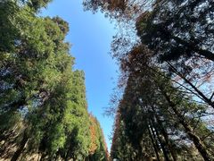 -山王坪喀斯特国家生态公园