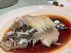 古法蒸石斑-利苑酒家(金宝店)