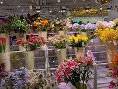 -KKV(重庆东原悦荟主力店)