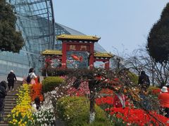 -南山植物园