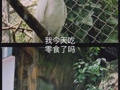 -红山森林动物园