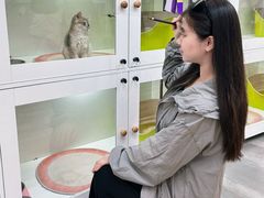 -青奢宠物·青奢猫舍