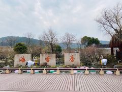 -香雪海