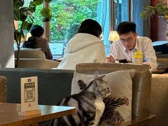 -咖法森林·咖啡  酒吧(天河店)