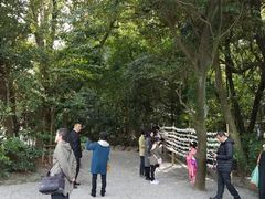 -热田神宫