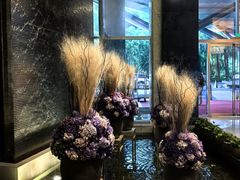 -广州富力君悦大酒店空中花园