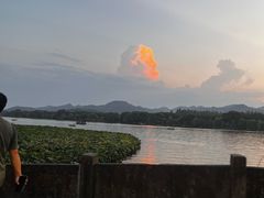 -中国湿地博物馆