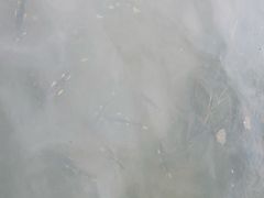-青海湖仙女湾景区