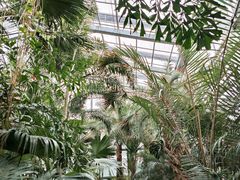 -国家植物园