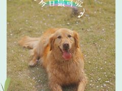 -两河城市森林公园