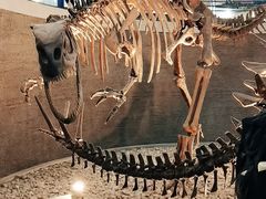 -国家自然博物馆