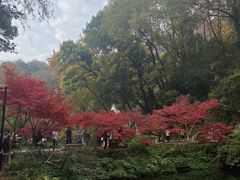 -岳麓山风景名胜区