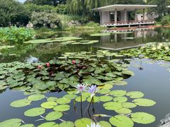 -国家植物园南园