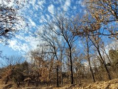 -北京西山国家森林公园