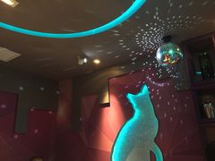 米乐星世界KTV(汇智国际店)-米乐星世界KTV