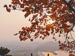 -北京十三陵国家森林公园蟒山景区