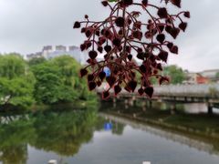 -贵阳市花溪国家城市湿地公园