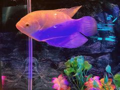 -秦皇岛新澳海底世界