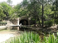-白水寺森林公园