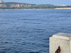 -大连老虎滩海洋公园