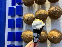 -蔻蔻椰·鲜萃椰子水(欢乐港湾店)