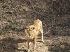 -石家庄市动物园