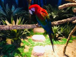 -酷嗒动物文化乐园(cutezoo西溪乐天城店)