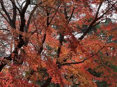 -青岛崂山太清宫