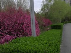 -长春公园(普阳街道)