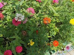 -辽河服务区-停车场