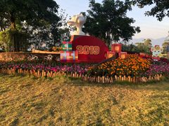 -金鸡山公园
