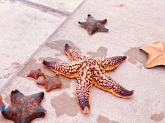 -悦海公园