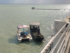 -贡湖湾湿地公园