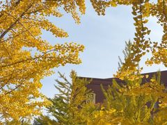 -沈阳师范大学-图书馆