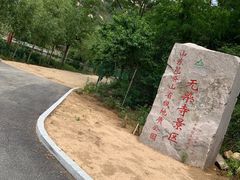 -无染寺