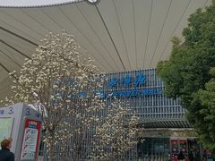 -东浩兰生上海世博展览馆