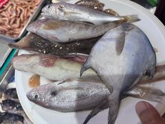 焖杂鱼-旺角小渔村(幸福中路店)