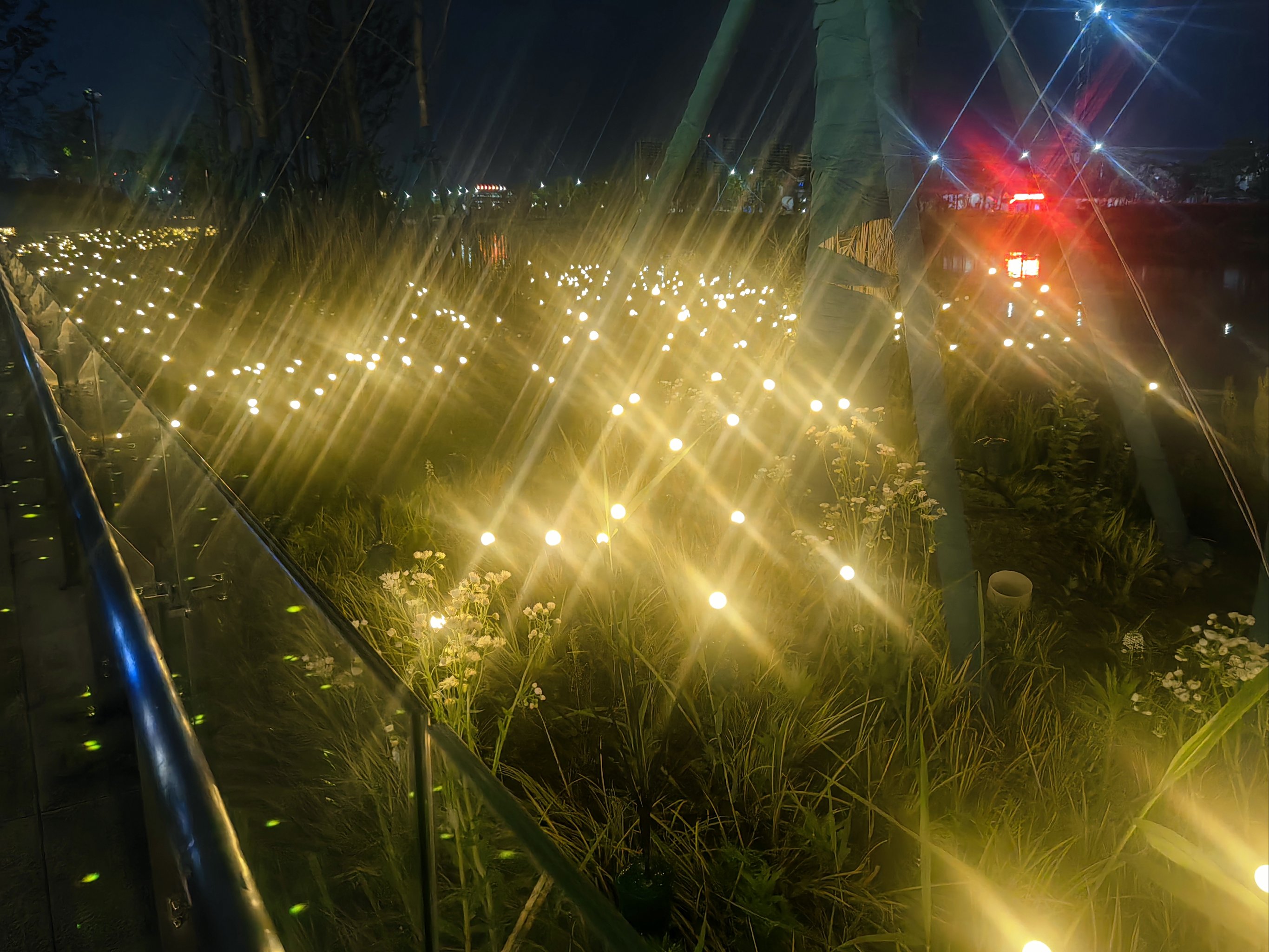 萤火虫夜景的风景图片图片