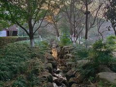-八卦田遗址公园