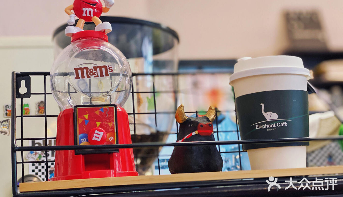 绍兴美食探店｜Elephant Cafe 