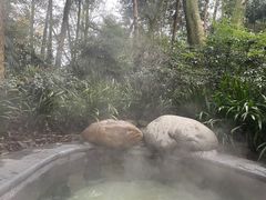 -青城道汤池