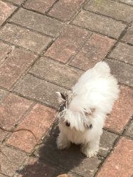 -Zoolung Zoolung动物主题公园(海信广场店)