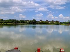 -美的鹭湖森林度假区